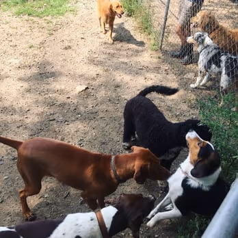 The Bark Park photo 1